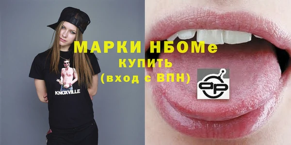 индика Богородицк