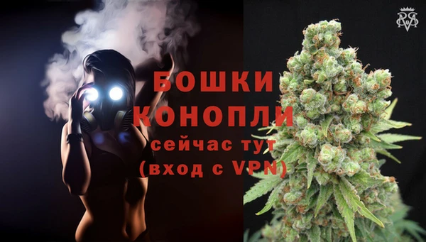 кокс Губаха
