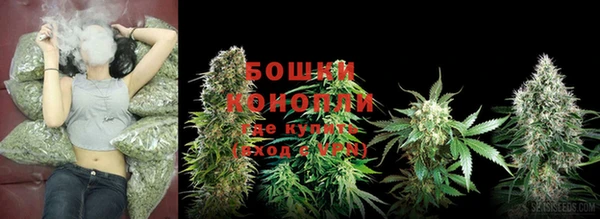 метадон Богданович